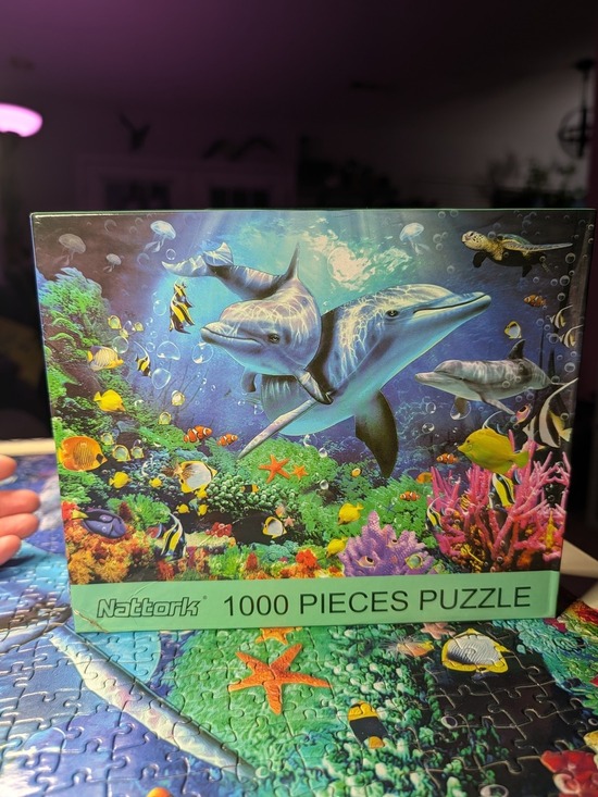 nattork Other - Dolphin Reef 1000-Piece Puzzle - Blue & Green